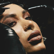 Load image into Gallery viewer, Curated Piercing Session