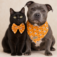 Load image into Gallery viewer, Batty Halloween Print | Handmade Pet Accessories