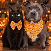 Load image into Gallery viewer, Batty Halloween Print | Handmade Pet Accessories