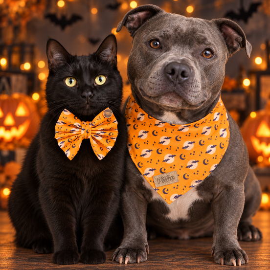 Batty Halloween Print | Handmade Pet Accessories