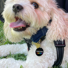 Load image into Gallery viewer, Earrings PERSONALISED PET CHARMS Dolly Dangles personalised hoop earrings