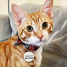 Load image into Gallery viewer, Brooch PURRRFECT PUSSY CHARMS | Cat Accessories Purrrfect Pet Charms | handmade cat accessories